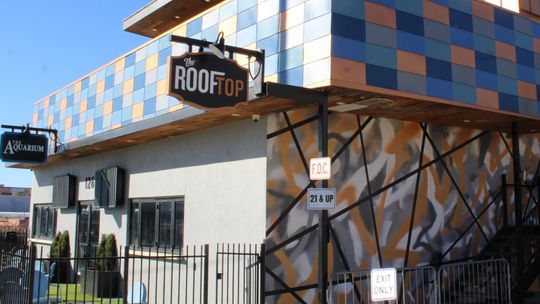 Alcohol sales halted at Rooftop on the Square, The Aquarium