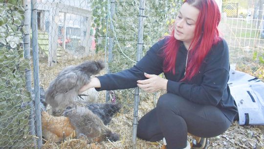 CULTIVATING COMMUNITY