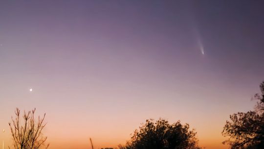 Glimpse of rare comet