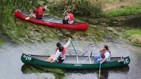 Volunteers clear litter during Great Texas River Clean Up