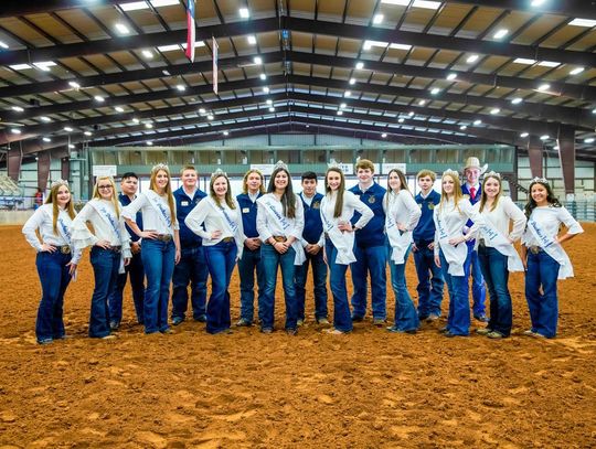Hays County Livestock Show, hays county, San Marcos News, San Marcos Record, dripping springs