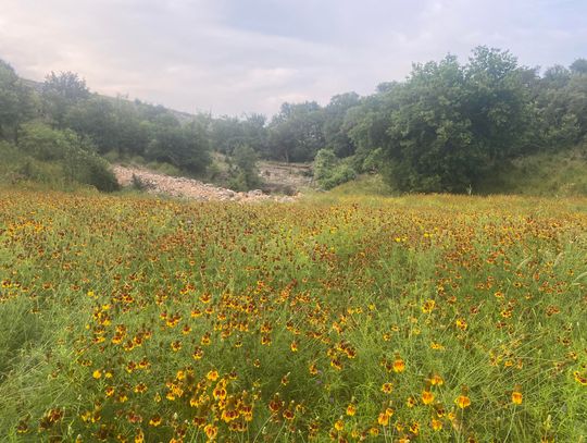 A Beginner’s Guide to Mountain Biking San Marcos Part I