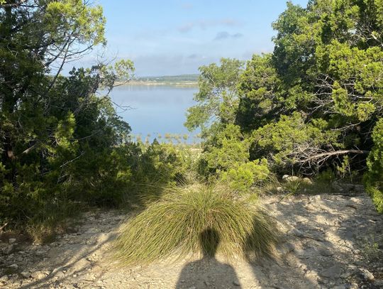 A Beginner’s Guide to Mountain Biking San Marcos Part II