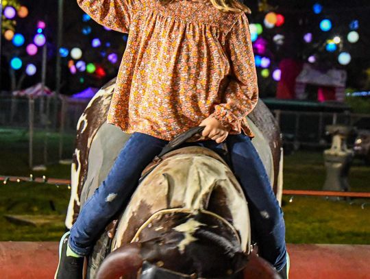 A MERRY & BRIGHT SIGHT: Sights & Sounds of Christmas wraps up this weekend 