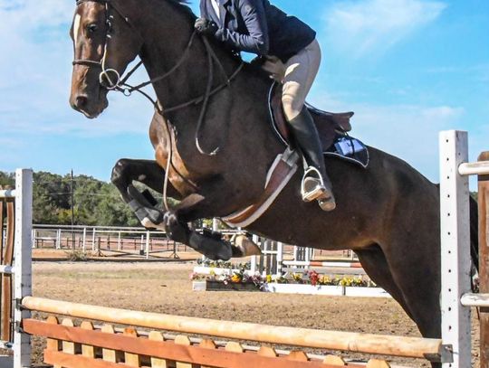 BEEN THERE, JUMPED THAT: Bel Canto hosts equestrian shows in Wimberley