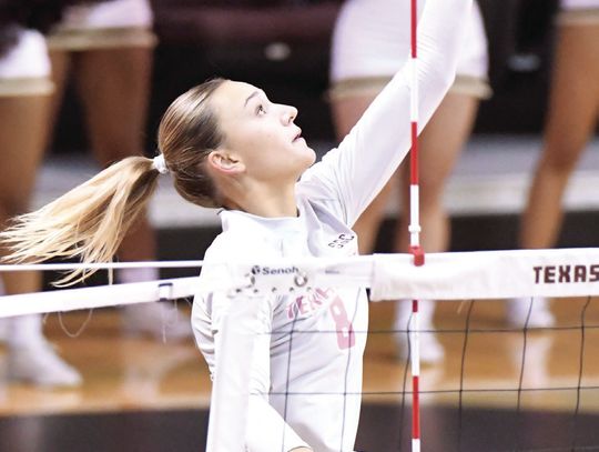 Bobcats fall to Missouri at NCAA Tournament