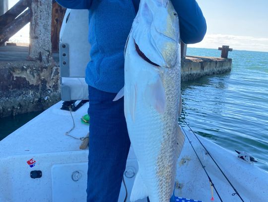 Catching a massive red fish in Corpus Christi Bay