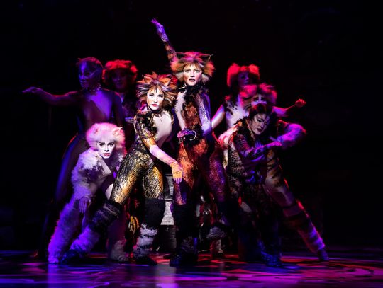 'Cats' comes to Bass Concert Hall