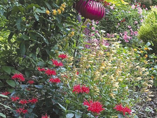 Chenille, Taffeta and Velvet: Making gardens upscale in 2023