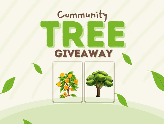 City of San Marcos Parks and Recreation hosts Community Tree Giveaway