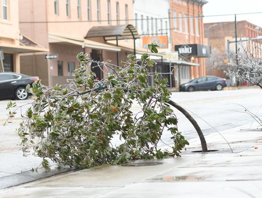 City offers resources for winter weather clean up 