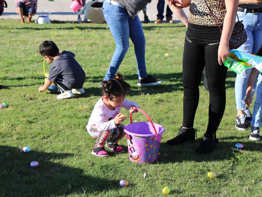 City set to host Farmer Fred’s Garden Spring Carnival 