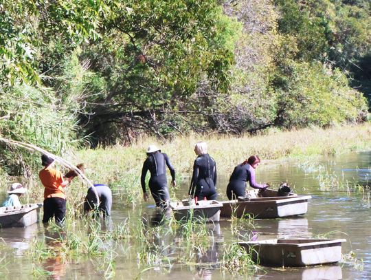 City, TXST host 6th Annual Fall River Clean Up