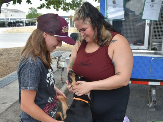 CLEARING THE SHELTER
