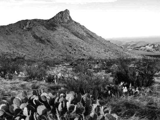 Coming Soon: A new Big Bend hiking trail