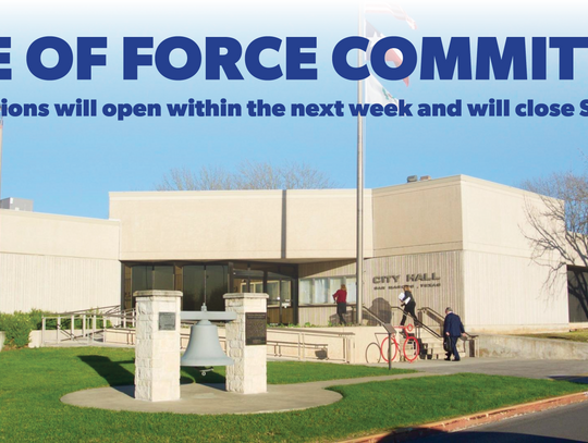 Council establishes use of force committee