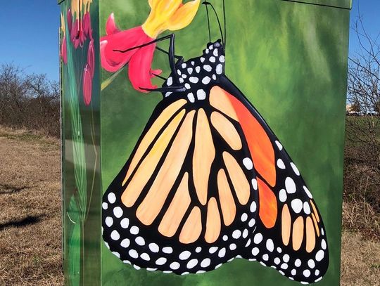 Designs of local artists adorn three traffic control boxes