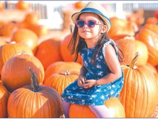 Dripping Springs Pumpkin Festival to take place Sept. 23-Oct. 29