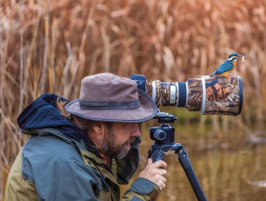 Exploring Nature: Big Trouble for Birds?