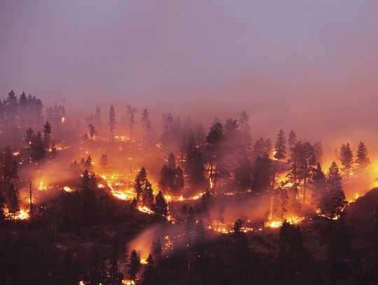 Exploring Nature: Birds  & Fire