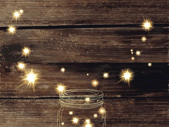 Exploring Nature: Fireflies