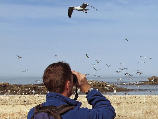 Exploring Nature: Let’s go to Alamo