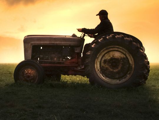 Exploring Nature: Old Farmers Almanac