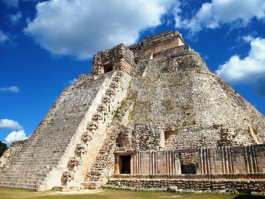 Exploring Nature: Sage Advice