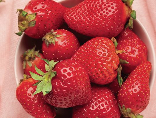 Exploring Nature: Strawberries & Pigs