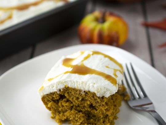 Fall pumpkin recipes