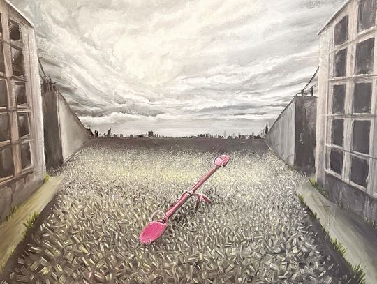 Former Wimberley exchange student flees Russia for asylum in the US