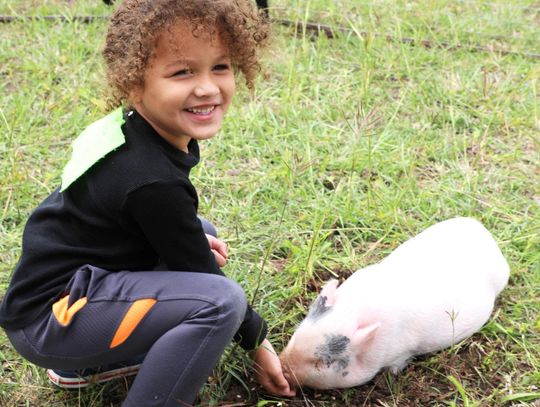 Fry's Fun Farm visits Bonham Pre-K