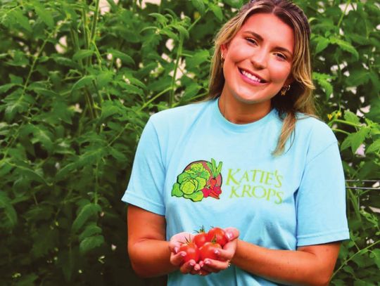 Garden Treasure Tomato: A star of Katie’s Krops and your garden, too