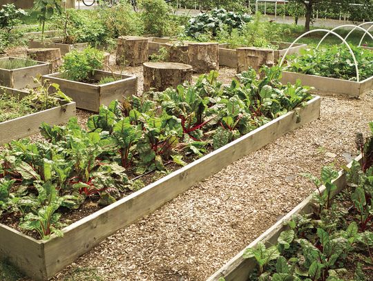 Gardening by the Foot