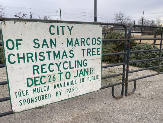 Go green for the holidays: City offers options for Christmas tree recycling