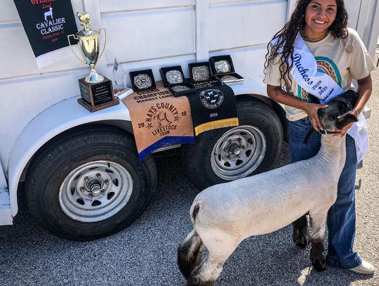 GOING FOR GOLD: Lombardo looks to make award-winning sale at State Fair