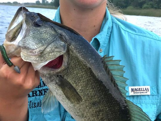 Grandfather's ode to family fishing