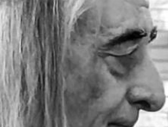 Hair Raisin’ Fundraiser to help Rotary Club of San Marcos