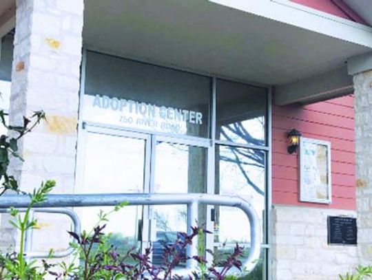 Half-off adoption rates as animal shelter reaches capacity