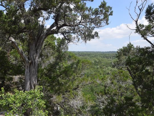 Hays County acquires Purgatory Creek Nature Preserve 