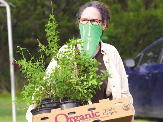 Hays County Master Gardeners hosts annual plant and tree sale