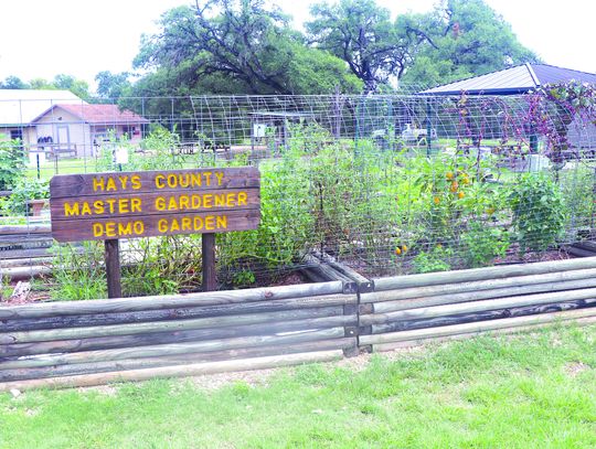 Hays County Master Gardeners to offer Fall training class