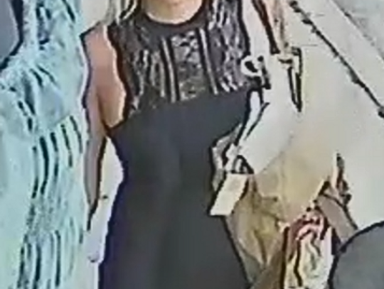 Hays County Sheriff’s Office searching for suspects in Wimberley theft 