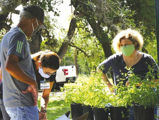 HCMGA Fall Plant & Tree Sale set to begin on Oct. 3