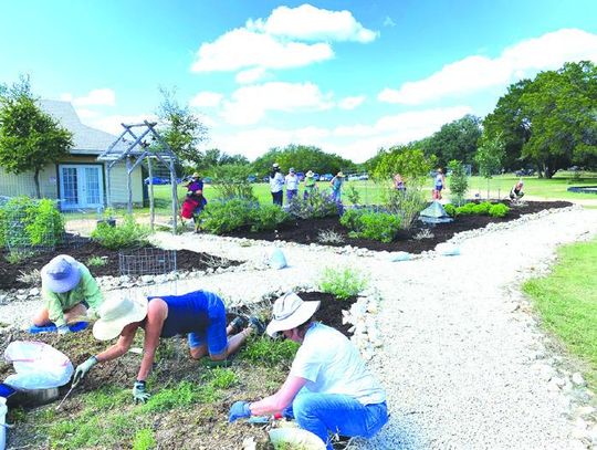 HCMGA offers 11-week master gardeners course