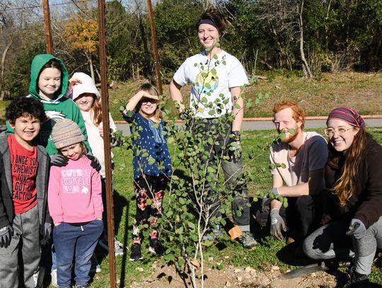 Holiday campers plant trees at Children’s Park