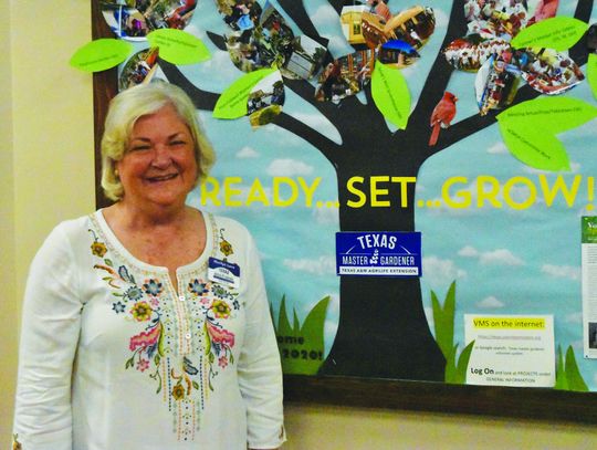 HOME GROWN: Hays County Master Gardener Association to offer classes in the fall