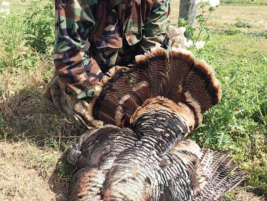 Hunting turkeys at Cibolo Creek with a younger brother