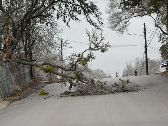 ICY CONDITIONS: Winter weather continues, bringing downed branches, power outages