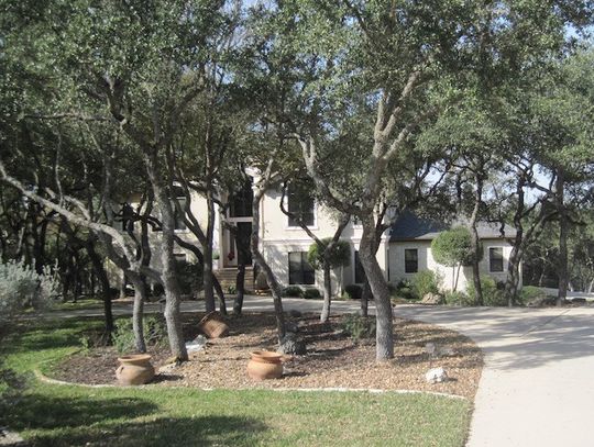 January Yard of the Month